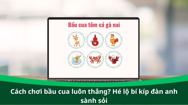 Cách chơi bầu cua luôn thắng? Hé lộ bí kíp đàn anh sành sỏi