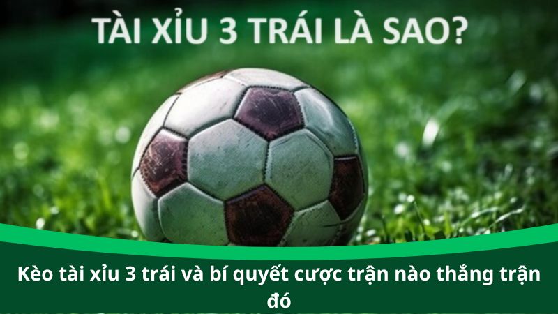 Kèo tài xỉu 3 trái và bí quyết cược trận nào thắng trận đó