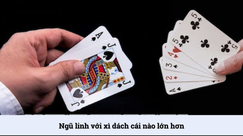 Giải đáp thắc mắc Ngũ linh ăn xì dách không