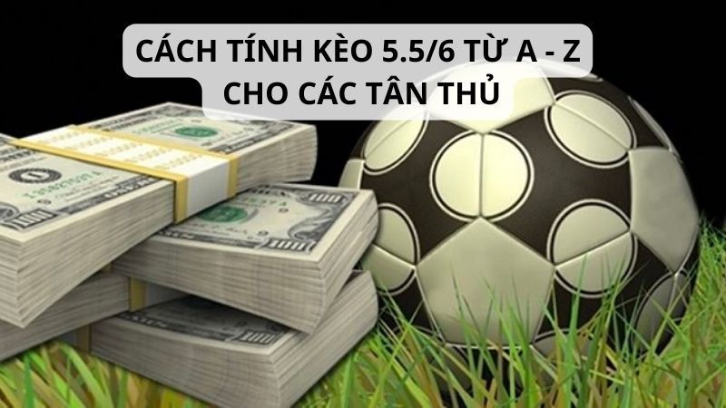 Tài xỉu 5.5/6 là gì - Phân tích thông tin trận đấu