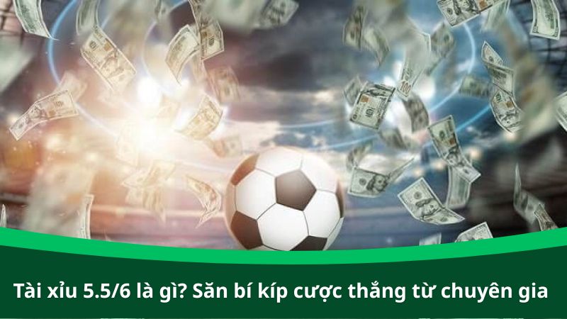 Tài xỉu 5.5/6 là gì? Săn bí kíp cược thắng từ chuyên gia lão làng
