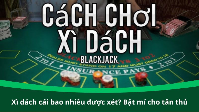 Xì dách cái bao nhiêu được xét? Bật mí cho tân thủ